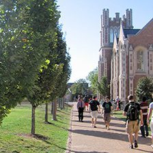 Students walking along a tree-lined university pathway on a sunny day.